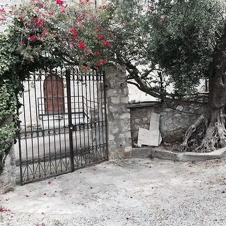 Hegelberger Terracina