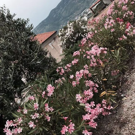 Szálloda Hegelberger Terracina